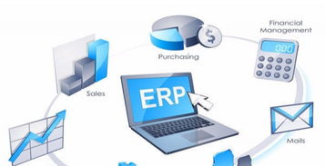 上海軟件外包服務 定制與外包的融合創新